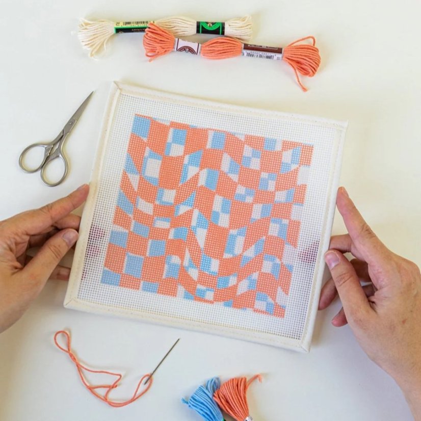 Artist Designed Needlepoint Kit - Sunglasses Case - Summer Checker