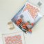 Artist Designed Needlepoint Kit - Sunglasses Case - Summer Checker
